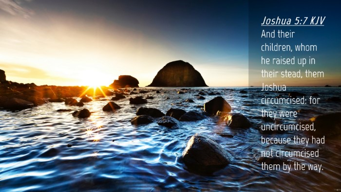 Picture 04 - Joshua 5:7 KJV Desktop Wallpaper - And their children, whom he raised up in their - Desktop Bible Verse Wallpaper