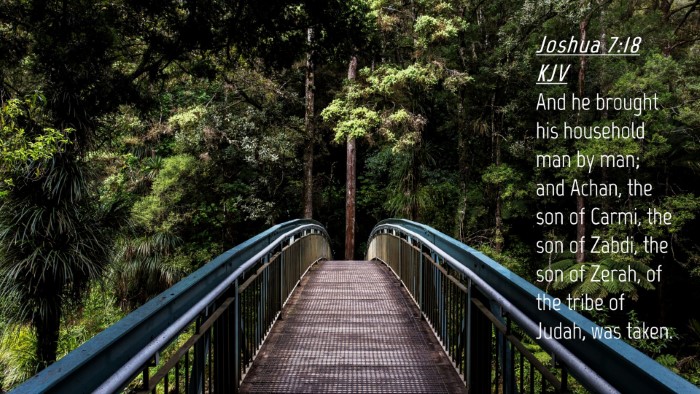 Picture 04 - Joshua 7:18 KJV Desktop Wallpaper - And he brought his household man by man; and - Desktop Bible Verse Wallpaper