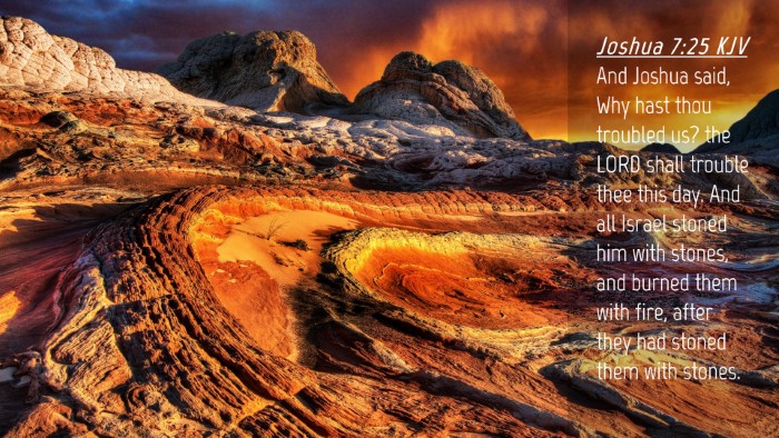 Picture 04 - Joshua 7:25 KJV Desktop Wallpaper - And Joshua said, Why hast thou troubled us? the - Desktop Bible Verse Wallpaper