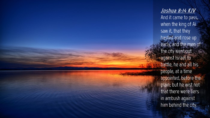Picture 04 - Joshua 8:14 KJV Desktop Wallpaper - And it came to pass, when the king of Ai saw it, - Desktop Bible Verse Wallpaper