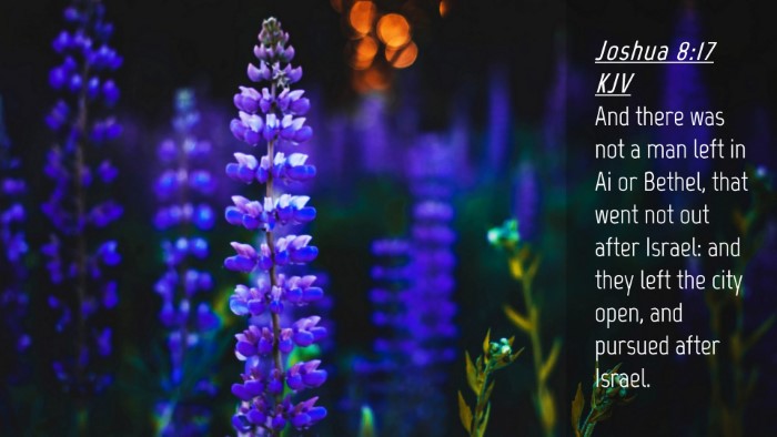 Picture 04 - Joshua 8:17 KJV Desktop Wallpaper - And there was not a man left in Ai or Bethel, - Desktop Bible Verse Wallpaper