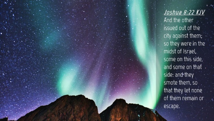 Picture 04 - Joshua 8:22 KJV Desktop Wallpaper - And the other issued out of the city against - Desktop Bible Verse Wallpaper