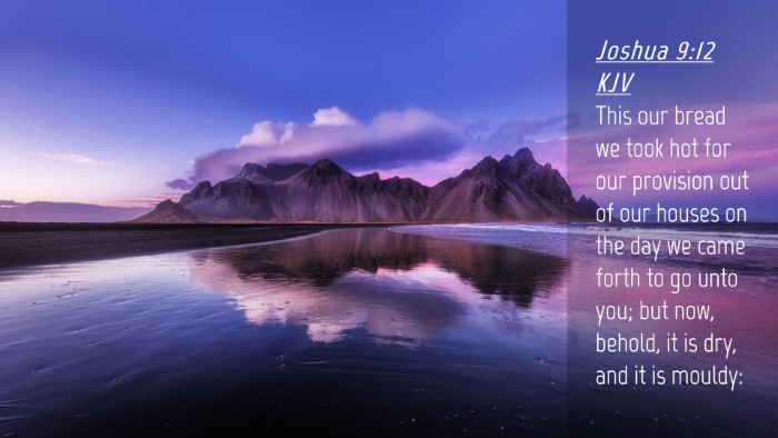 Picture 04 - Joshua 9:12 KJV Desktop Wallpaper - This our bread we took hot for our provision out - Desktop Bible Verse Wallpaper
