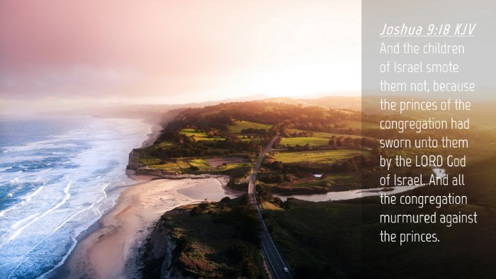 Picture 04 - Joshua 9:18 KJV Desktop Wallpaper - And the children of Israel smote them not, - Desktop Bible Verse Wallpaper