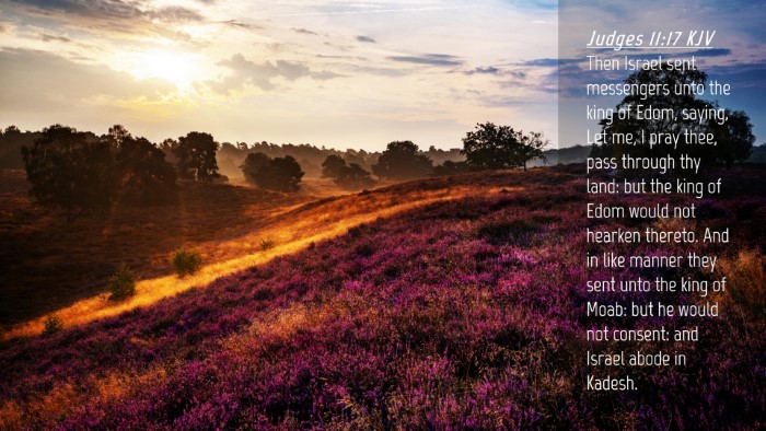 Picture 04 - Judges 11:17 KJV Desktop Wallpaper - Then Israel sent messengers unto the king of - Desktop Bible Verse Wallpaper