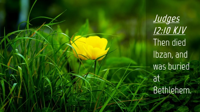 Picture 04 - Judges 12:10 KJV Desktop Wallpaper - Then died Ibzan, and was buried at - Desktop Bible Verse Wallpaper