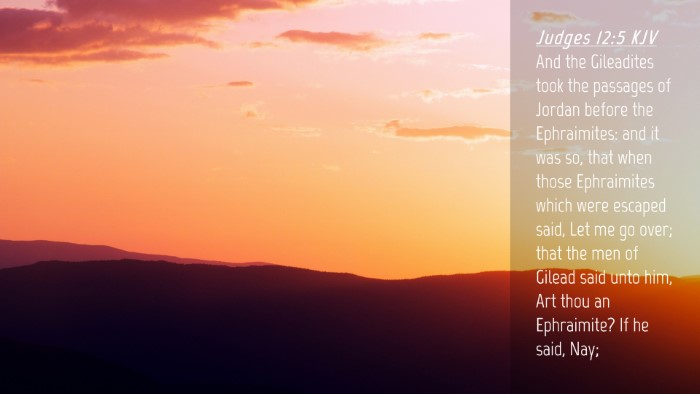 Picture 04 - Judges 12:5 KJV Desktop Wallpaper - And the Gileadites took the passages of Jordan - Desktop Bible Verse Wallpaper