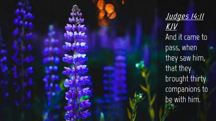 Picture 04 - Judges 14:11 KJV Desktop Wallpaper - And it came to pass, when they saw him, that they - Desktop Bible Verse Wallpaper