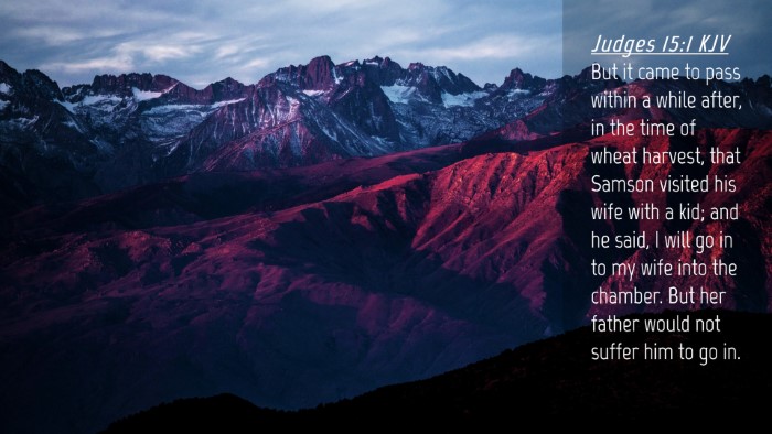 Picture 04 - Judges 15:1 KJV Desktop Wallpaper - But it came to pass within a while after, in the - Desktop Bible Verse Wallpaper