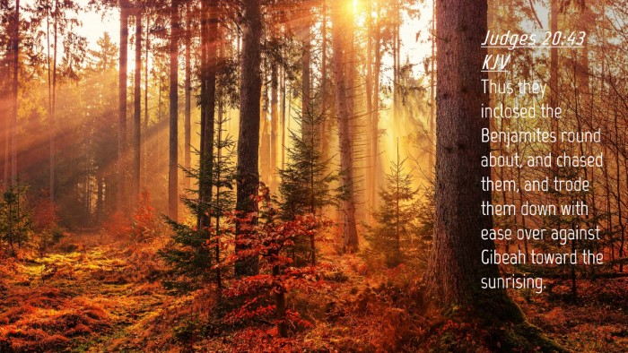 Picture 04 - Judges 20:43 KJV Desktop Wallpaper - Thus they inclosed the Benjamites round about, - Desktop Bible Verse Wallpaper