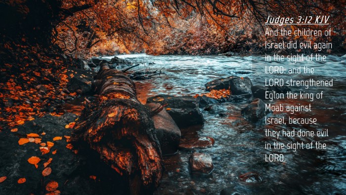 Picture 04 - Judges 3:12 KJV Desktop Wallpaper - And the children of Israel did evil again in the - Desktop Bible Verse Wallpaper