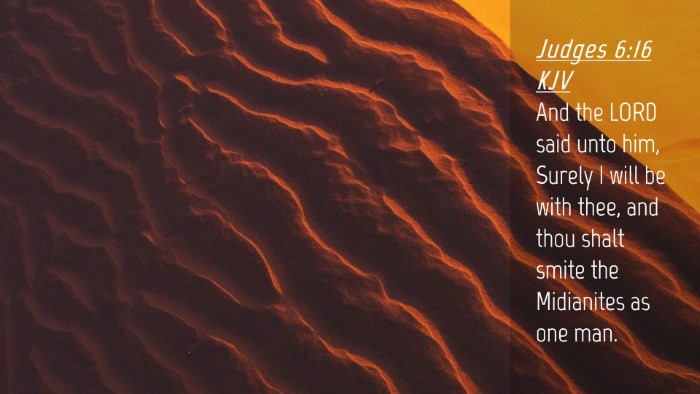 Picture 04 - Judges 6:16 KJV Desktop Wallpaper - And the LORD said unto him, Surely I will be with - Desktop Bible Verse Wallpaper