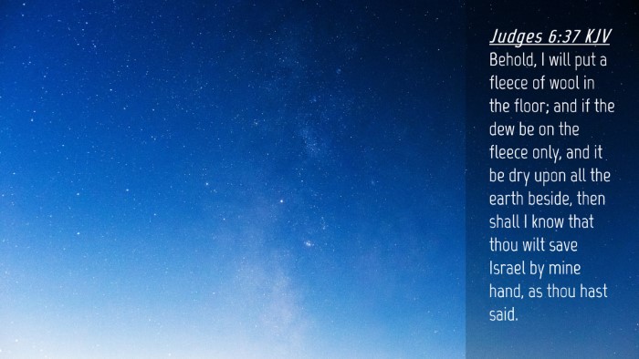 Picture 04 - Judges 6:37 KJV Desktop Wallpaper - Behold, I will put a fleece of wool in the floor; - Desktop Bible Verse Wallpaper
