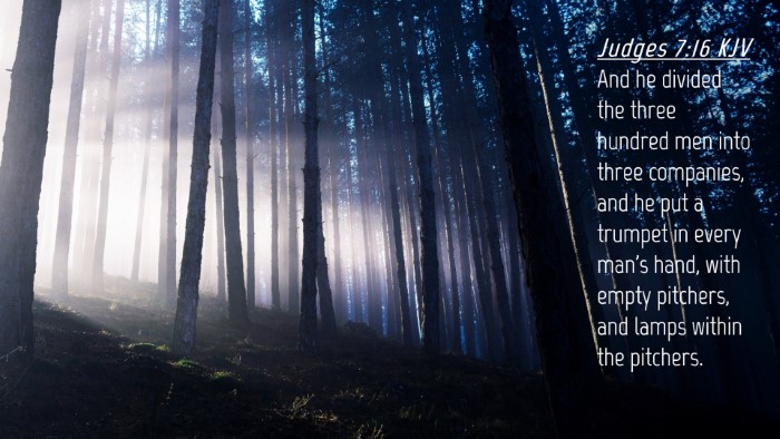 Picture 04 - Judges 7:16 KJV Desktop Wallpaper - And he divided the three hundred men into three - Desktop Bible Verse Wallpaper