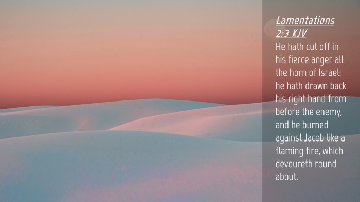 Picture 04 - Lamentations 2:3 KJV Desktop Wallpaper - He hath cut off in his fierce anger all the horn - Desktop Bible Verse Wallpaper