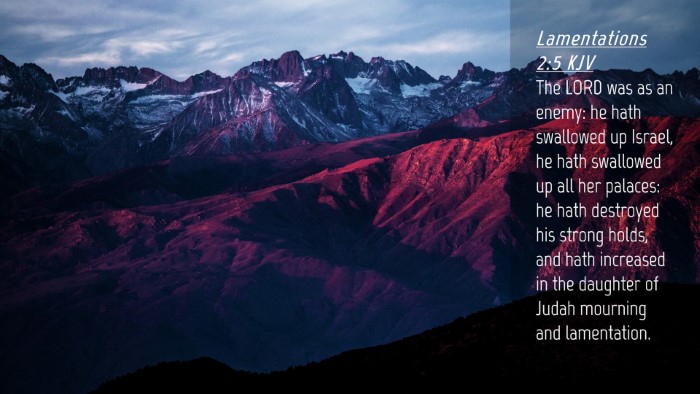 Picture 04 - Lamentations 2:5 KJV Desktop Wallpaper - The LORD was as an enemy: he hath swallowed up - Desktop Bible Verse Wallpaper
