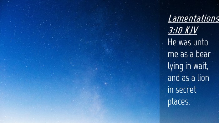 Picture 04 - Lamentations 3:10 KJV Desktop Wallpaper - He was unto me as a bear lying in wait, and as a - Desktop Bible Verse Wallpaper