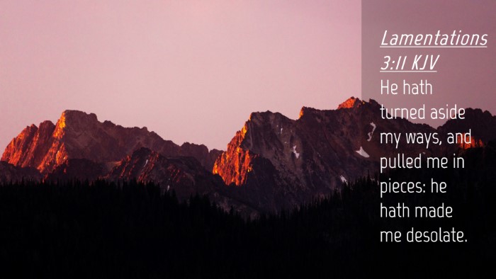 Picture 04 - Lamentations 3:11 KJV Desktop Wallpaper - He hath turned aside my ways, and pulled me in - Desktop Bible Verse Wallpaper