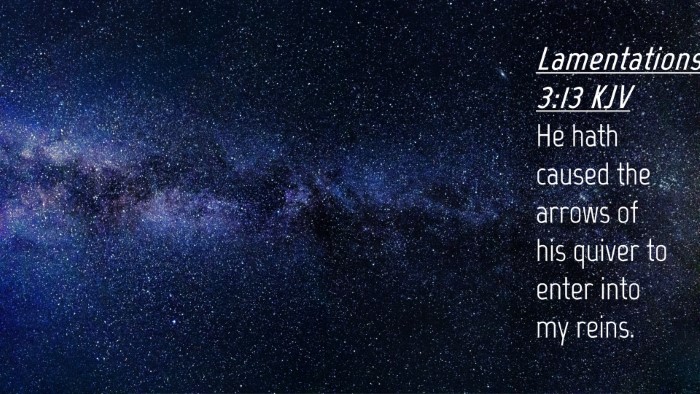 Picture 04 - Lamentations 3:13 KJV Desktop Wallpaper - He hath caused the arrows of his quiver to enter - Desktop Bible Verse Wallpaper
