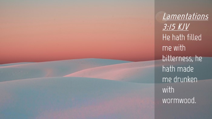 Picture 04 - Lamentations 3:15 KJV Desktop Wallpaper - He hath filled me with bitterness, he hath made - Desktop Bible Verse Wallpaper