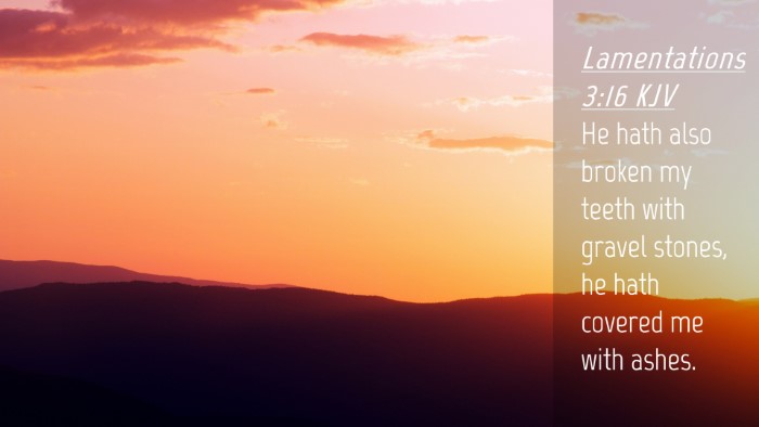 Picture 04 - Lamentations 3:16 KJV Desktop Wallpaper - He hath also broken my teeth with gravel stones, - Desktop Bible Verse Wallpaper