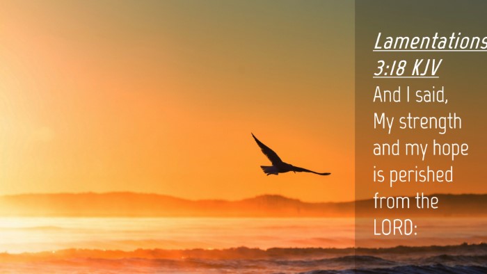 Picture 04 - Lamentations 3:18 KJV Desktop Wallpaper - And I said, My strength and my hope is perished - Desktop Bible Verse Wallpaper