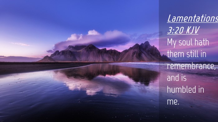 Picture 04 - Lamentations 3:20 KJV Desktop Wallpaper - My soul hath them still in remembrance, and is - Desktop Bible Verse Wallpaper