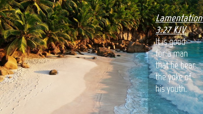 Picture 04 - Lamentations 3:27 KJV Desktop Wallpaper - It is good for a man that he bear the yoke of his - Desktop Bible Verse Wallpaper