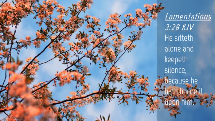 Picture 04 - Lamentations 3:28 KJV Desktop Wallpaper - He sitteth alone and keepeth silence, because he - Desktop Bible Verse Wallpaper