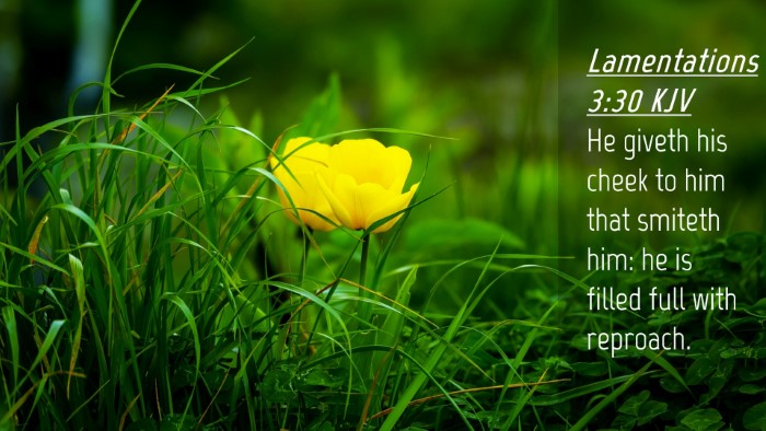 Picture 04 - Lamentations 3:30 KJV Desktop Wallpaper - He giveth his cheek to him that smiteth him: he - Desktop Bible Verse Wallpaper