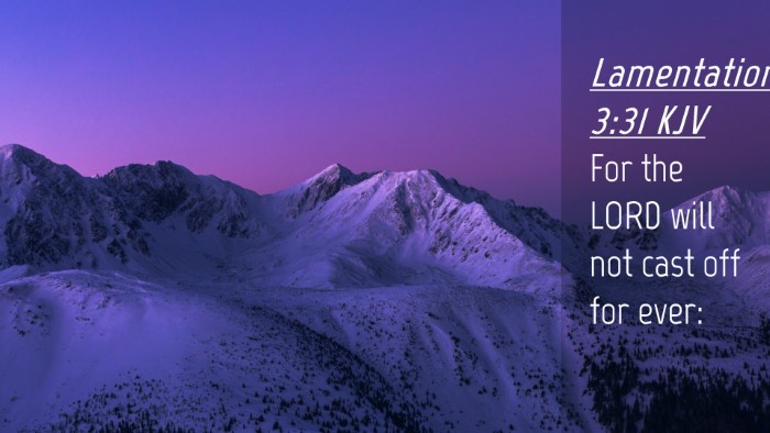 Picture 04 - Lamentations 3:31 KJV Desktop Wallpaper - For the LORD will not cast off for - Desktop Bible Verse Wallpaper