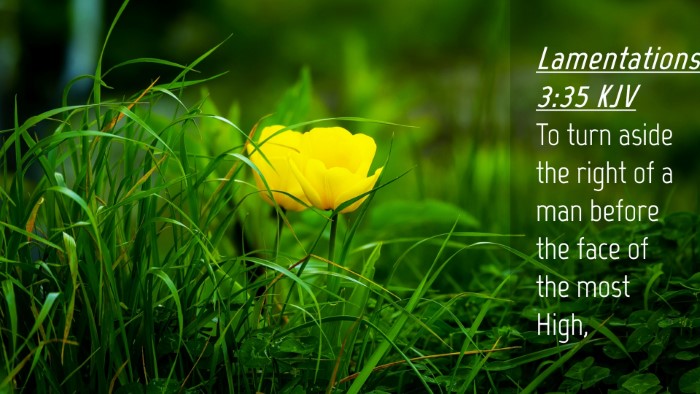 Picture 04 - Lamentations 3:35 KJV Desktop Wallpaper - To turn aside the right of a man before the face - Desktop Bible Verse Wallpaper