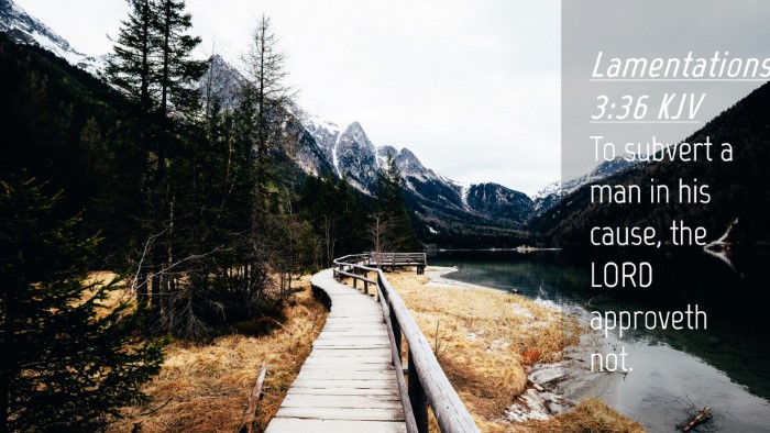 Picture 04 - Lamentations 3:36 KJV Desktop Wallpaper - To subvert a man in his cause, the LORD approveth - Desktop Bible Verse Wallpaper
