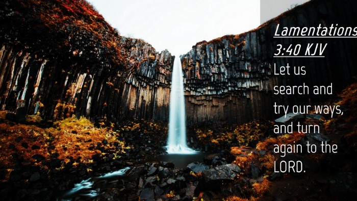 Picture 04 - Lamentations 3:40 KJV Desktop Wallpaper - Let us search and try our ways, and turn again to - Desktop Bible Verse Wallpaper