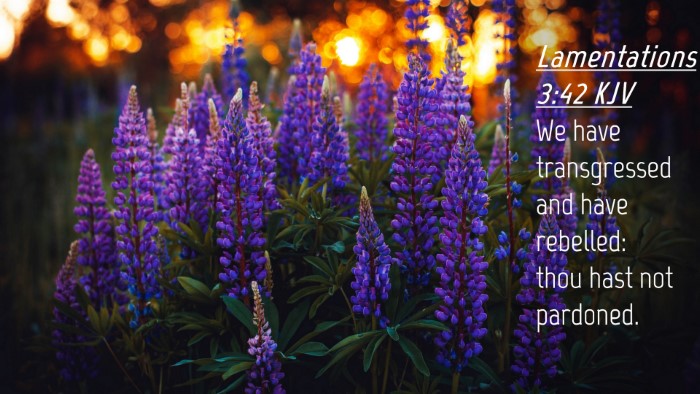 Picture 04 - Lamentations 3:42 KJV Desktop Wallpaper - We have transgressed and have rebelled: thou hast - Desktop Bible Verse Wallpaper