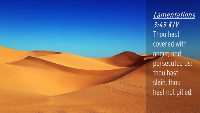 Picture 04 - Lamentations 3:43 KJV Desktop Wallpaper - Thou hast covered with anger, and persecuted us: - Desktop Bible Verse Wallpaper