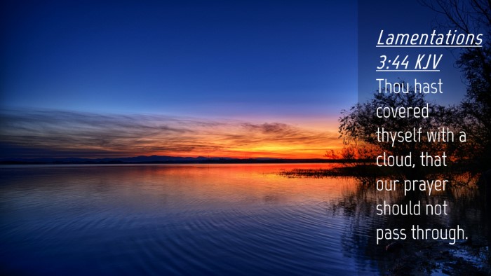 Picture 04 - Lamentations 3:44 KJV Desktop Wallpaper - Thou hast covered thyself with a cloud, that our - Desktop Bible Verse Wallpaper