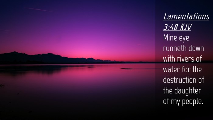 Picture 04 - Lamentations 3:48 KJV Desktop Wallpaper - Mine eye runneth down with rivers of water for - Desktop Bible Verse Wallpaper