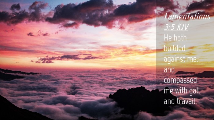 Picture 04 - Lamentations 3:5 KJV Desktop Wallpaper - He hath builded against me, and compassed me with - Desktop Bible Verse Wallpaper