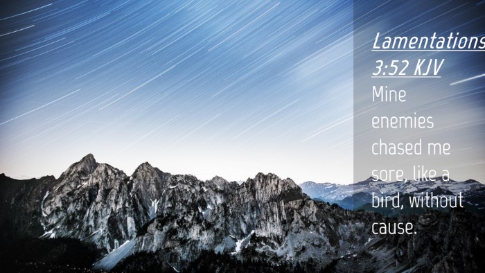 Picture 04 - Lamentations 3:52 KJV Desktop Wallpaper - Mine enemies chased me sore, like a bird, without - Desktop Bible Verse Wallpaper