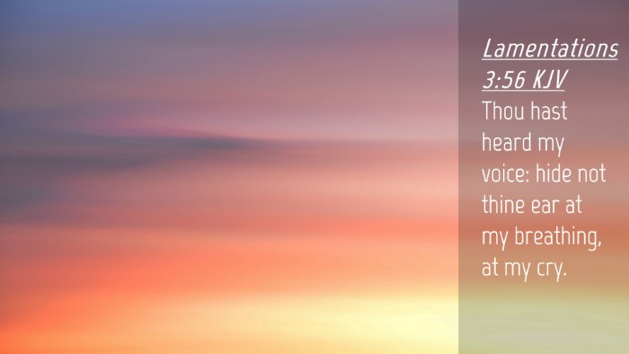 Picture 04 - Lamentations 3:56 KJV Desktop Wallpaper - Thou hast heard my voice: hide not thine ear at - Desktop Bible Verse Wallpaper