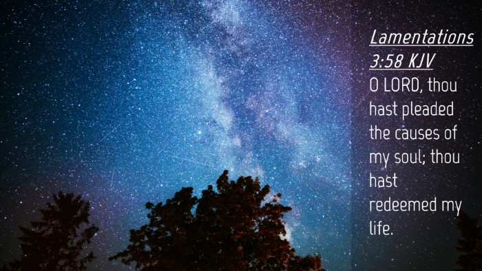 Picture 04 - Lamentations 3:58 KJV Desktop Wallpaper - O LORD, thou hast pleaded the causes of my soul; - Desktop Bible Verse Wallpaper