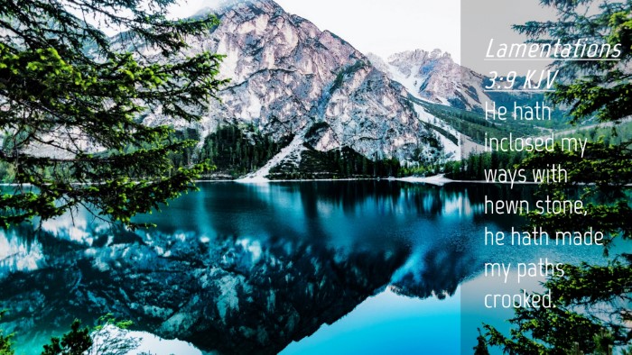 Picture 04 - Lamentations 3:9 KJV Desktop Wallpaper - He hath inclosed my ways with hewn stone, he hath - Desktop Bible Verse Wallpaper