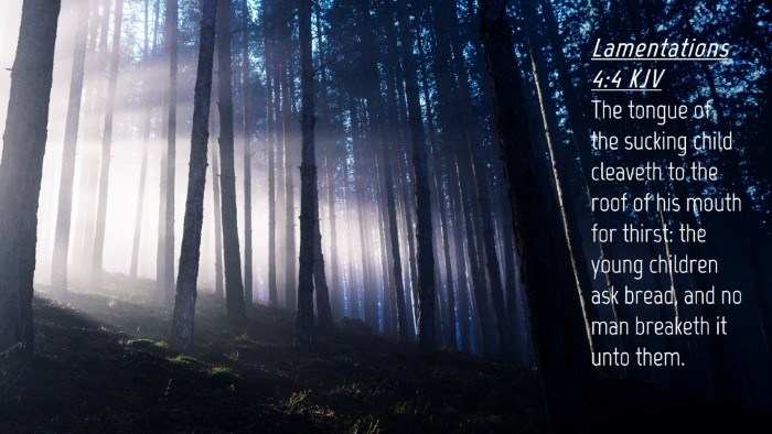Picture 04 - Lamentations 4:4 KJV Desktop Wallpaper - The tongue of the sucking child cleaveth to the - Desktop Bible Verse Wallpaper