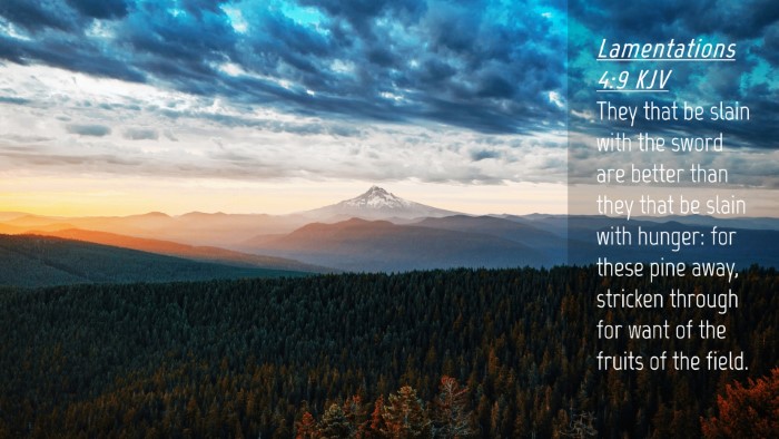 Picture 04 - Lamentations 4:9 KJV Desktop Wallpaper - They that be slain with the sword are better than - Desktop Bible Verse Wallpaper