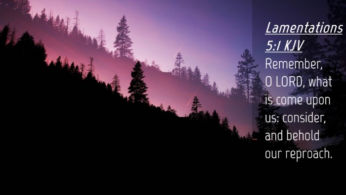 Picture 04 - Lamentations 5:1 KJV Desktop Wallpaper - Remember, O LORD, what is come upon us: consider, - Desktop Bible Verse Wallpaper