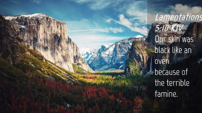 Picture 04 - Lamentations 5:10 KJV Desktop Wallpaper - Our skin was black like an oven because of the - Desktop Bible Verse Wallpaper