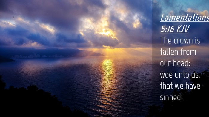 Picture 04 - Lamentations 5:16 KJV Desktop Wallpaper - The crown is fallen from our head: woe unto us, - Desktop Bible Verse Wallpaper