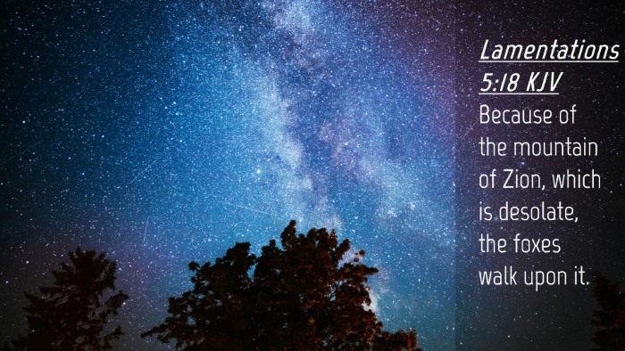 Picture 04 - Lamentations 5:18 KJV Desktop Wallpaper - Because of the mountain of Zion, which is - Desktop Bible Verse Wallpaper