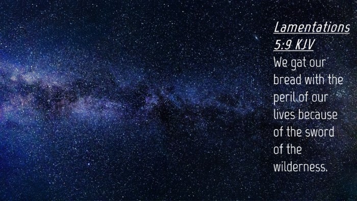 Picture 04 - Lamentations 5:9 KJV Desktop Wallpaper - We gat our bread with the peril of our lives - Desktop Bible Verse Wallpaper